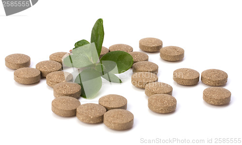 Image of herbal pills