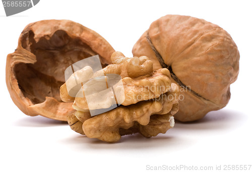 Image of walnut