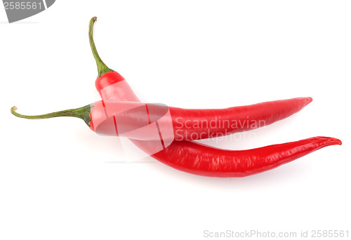 Image of Chili pepper isolated on white background