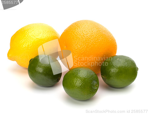 Image of Citrus fruits