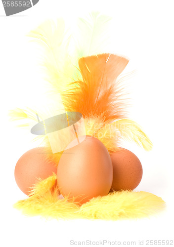 Image of Eggs and feather isolated on white background. Easter decor.