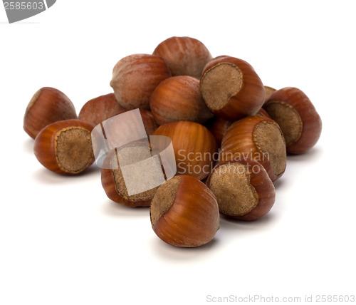 Image of hazelnuts isolated on white background