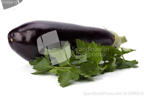 Image of Eggplant isolated on white background