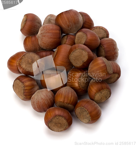 Image of hazelnuts isolated on white background