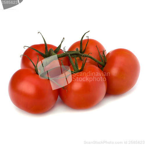 Image of red tomato isolated on the white background 