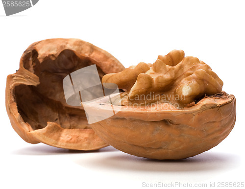 Image of walnut