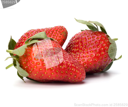 Image of Strawberries isolated on white background