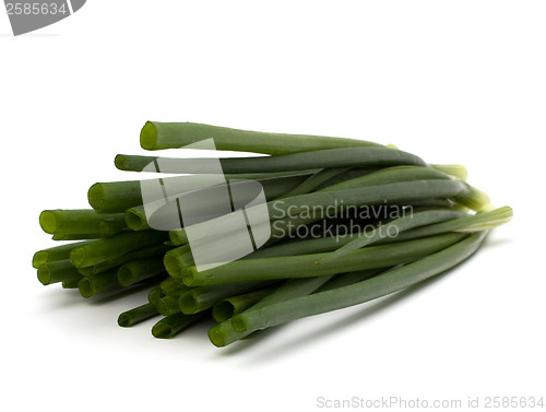 Image of spring onion 