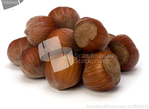 Image of hazelnuts isolated on white background