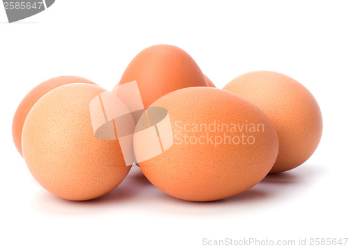 Image of eggs isolated on white background