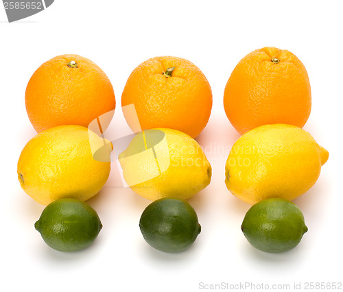 Image of Citrus fruits