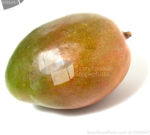 Image of single mango isolated on white background