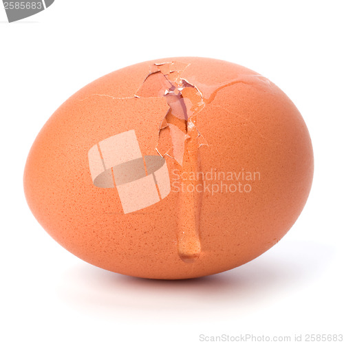 Image of broken egg isolated on white background