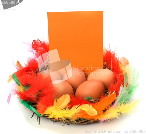 Image of easter decor with card isolated on white background