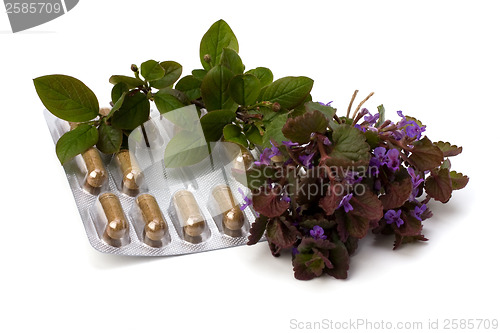 Image of herbal medicine isolated on white background 