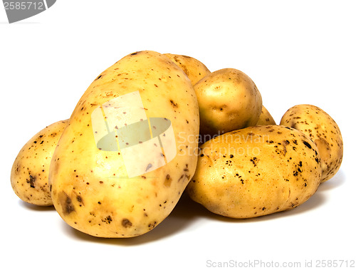 Image of potatoes isolated on white background