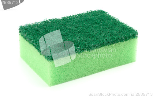 Image of sponge