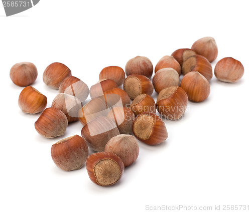 Image of hazelnuts isolated on white background