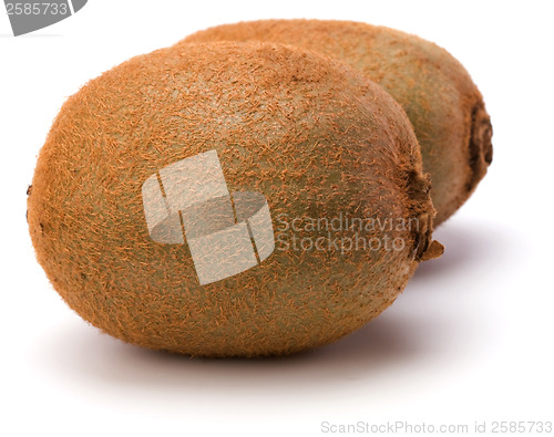 Image of kiwi fruit isolated on white background