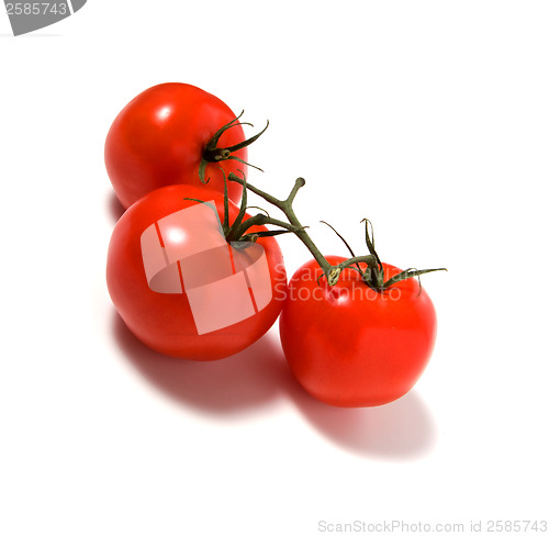 Image of fasten tomato isolated on white background 