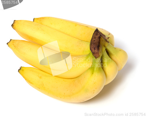 Image of bananas isolated on white background 

