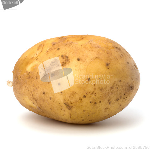 Image of potato