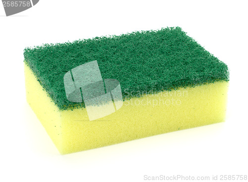 Image of sponge