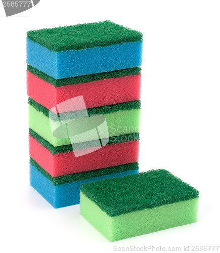 Image of sponges 