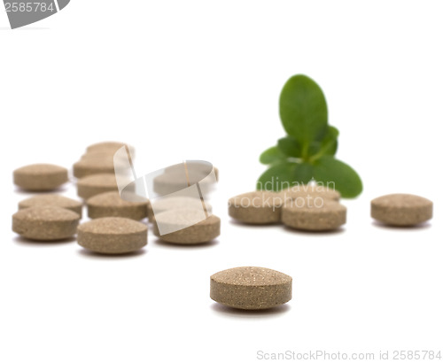 Image of herbal pills