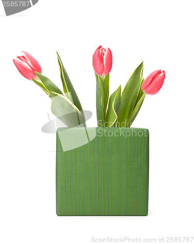 Image of gift with pink tulips  isolated on white background