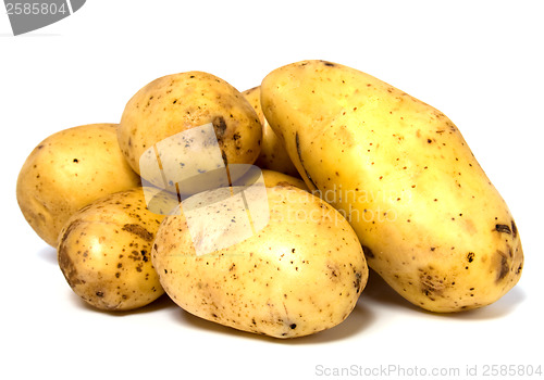 Image of potatoes isolated on white background