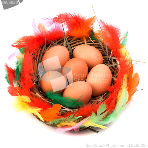 Image of easter egg in nest isolated on white background