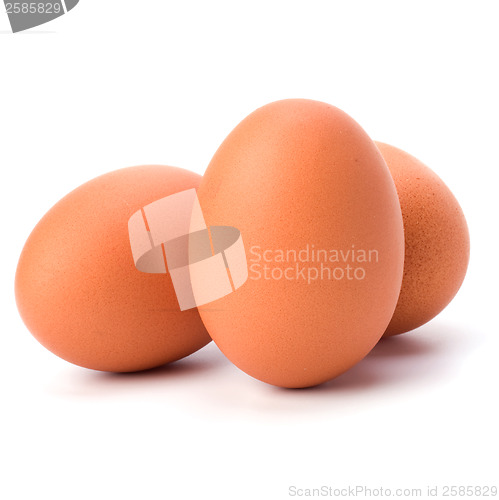 Image of eggs isolated on white background