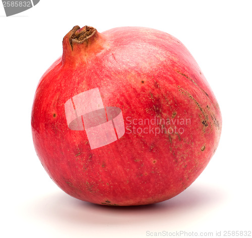 Image of pomegranate isolated on white background