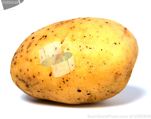 Image of potato isolated on white background