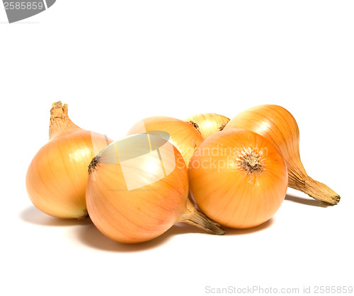 Image of onion isolated on white background