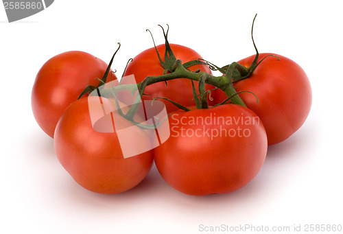 Image of red tomato isolated on the white background 