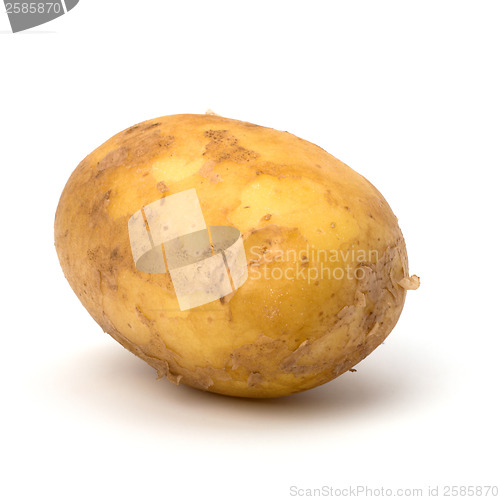 Image of potato