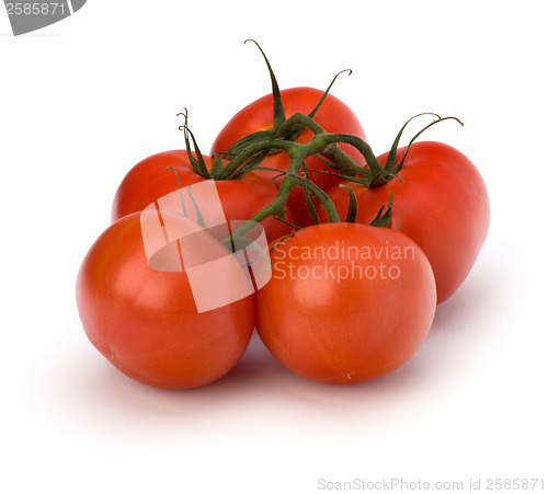 Image of red tomato isolated on the white background 