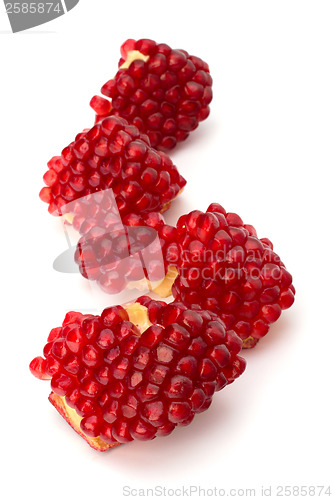 Image of Ripe pomegranate piece  