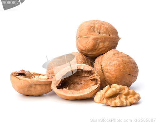 Image of walnuts isolated on white background