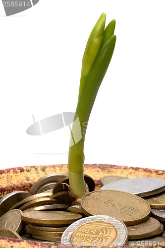 Image of Money pot.  Business concept