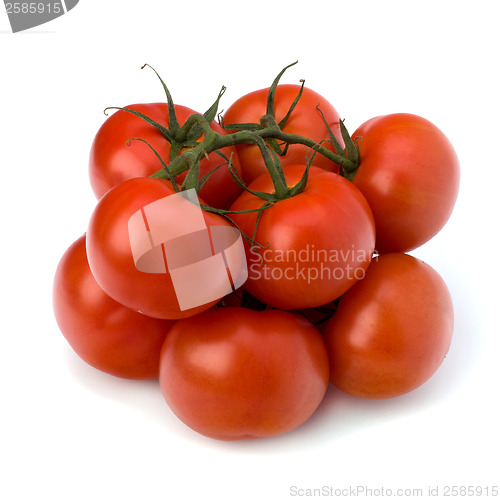 Image of red tomato isolated on the white background 