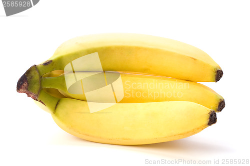 Image of bananas isolated on white background