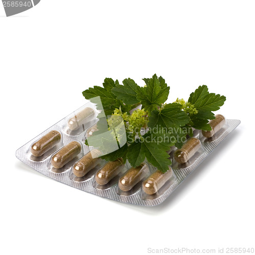 Image of herbal medicine isolated on white background 