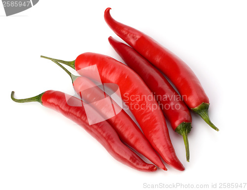 Image of Chili pepper isolated on white background