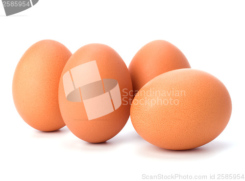 Image of eggs isolated on white background