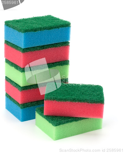 Image of sponges 
