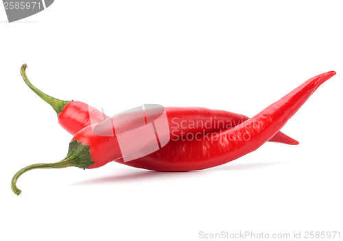 Image of Chili pepper isolated on white background