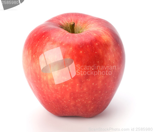 Image of red apple isolated on white background